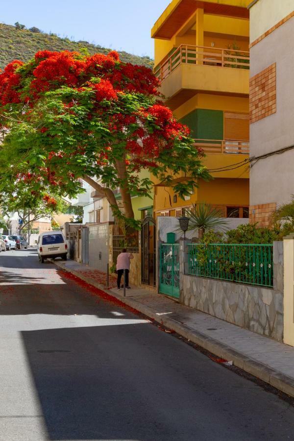 Casa Dona Carmela Guesthouse - Adults Only Santa Cruz de Tenerife Dış mekan fotoğraf